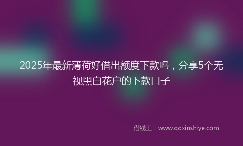 2025年最新薄荷好借出额度下款吗，分享5个无视黑白花户的下款口子
