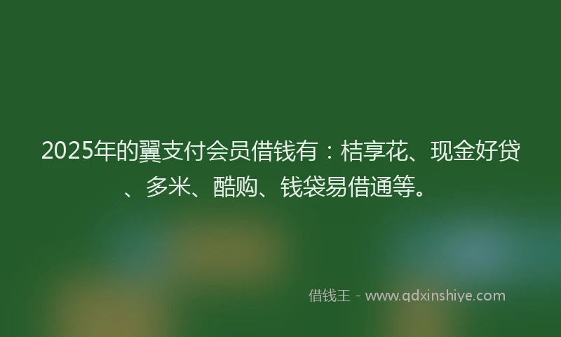 2025年的翼支付会员借钱有：桔享花、现金好贷、多米、酷购、钱袋易借通等。