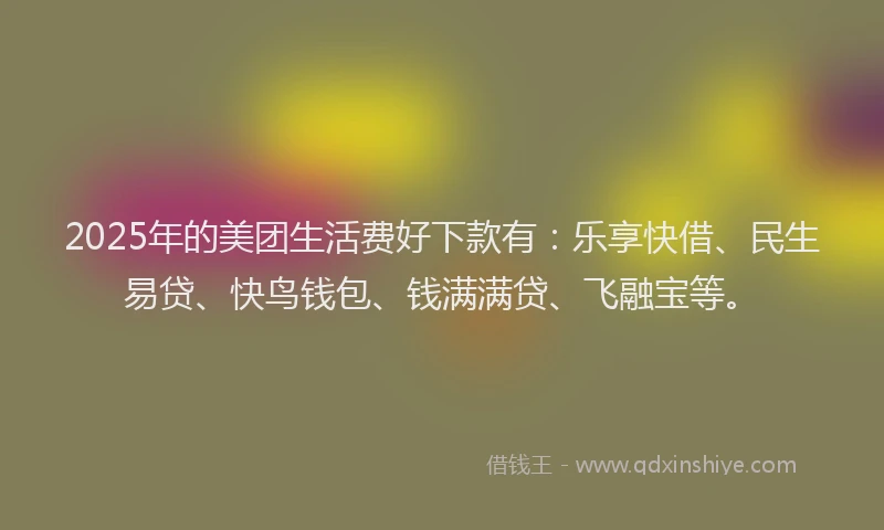 2025年的美团生活费好下款有：乐享快借、民生易贷、快鸟钱包、钱满满贷、飞融宝等。