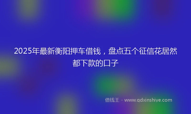 2025年最新衡阳押车借钱，盘点五个征信花居然都下款的口子