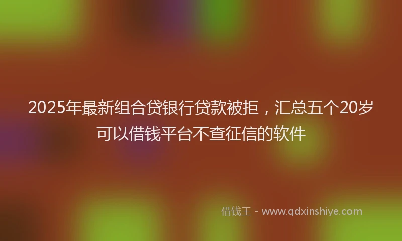 2025年最新组合贷银行贷款被拒，汇总五个20岁可以借钱平台不查征信的软件