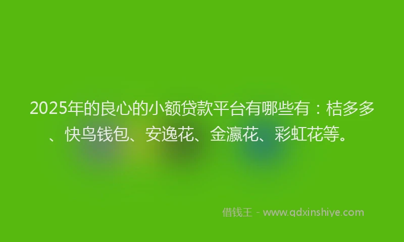 2025年的良心的小额贷款平台有哪些有：桔多多、快鸟钱包、安逸花、金瀛花、彩虹花等。