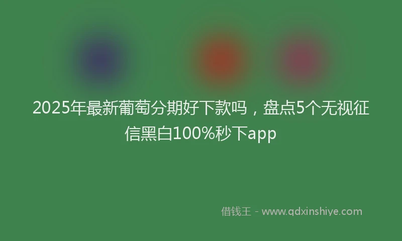 2025年最新葡萄分期好下款吗，盘点5个无视征信黑白100%秒下app
