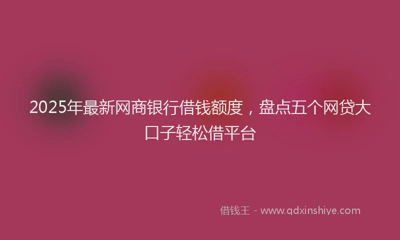 2025年最新网商银行借钱额度，盘点五个网贷大口子轻松借平台