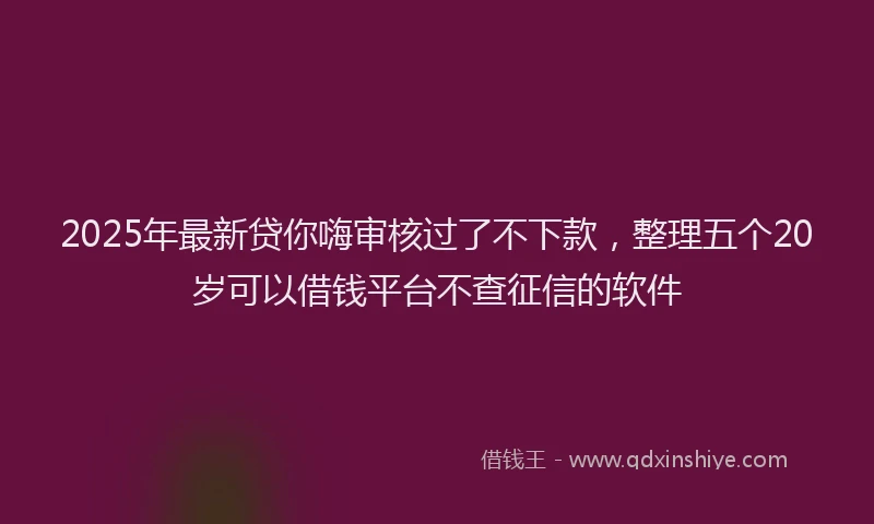 2025年最新贷你嗨审核过了不下款，整理五个20岁可以借钱平台不查征信的软件