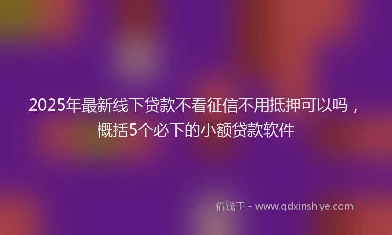 2025年最新线下贷款不看征信不用抵押可以吗，概括5个必下的小额贷款软件