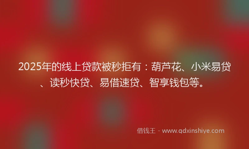 2025年的线上贷款被秒拒有：葫芦花、小米易贷、读秒快贷、易借速贷、智享钱包等。