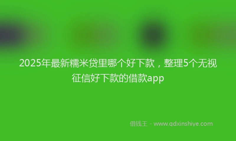 2025年最新糯米贷里哪个好下款，整理5个无视征信好下款的借款app