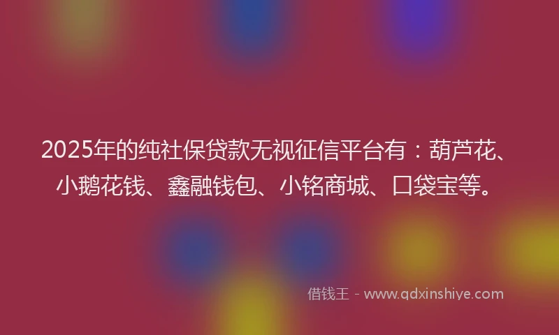2025年的纯社保贷款无视征信平台有：葫芦花、小鹅花钱、鑫融钱包、小铭商城、口袋宝等。