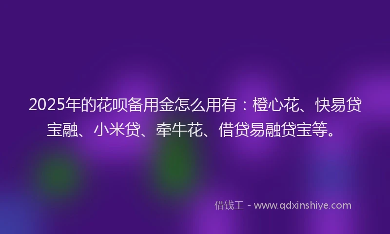 2025年的花呗备用金怎么用有：橙心花、快易贷宝融、小米贷、牵牛花、借贷易融贷宝等。