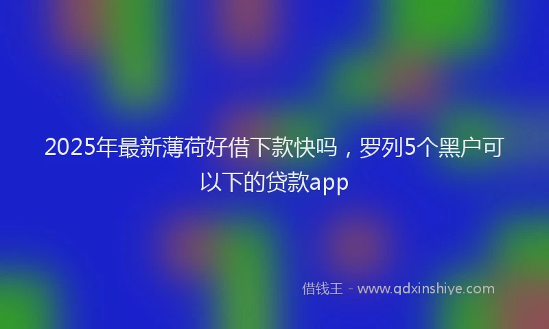 2025年最新薄荷好借下款快吗，罗列5个黑户可以下的贷款app