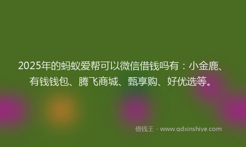 2025年的蚂蚁爱帮可以微信借钱吗有：小金鹿、有钱钱包、腾飞商城、甄享购、好优选等。
