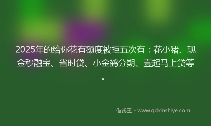 2025年的给你花有额度被拒五次有：花小猪、现金秒融宝、省时贷、小金鹤分期、壹起马上贷等。