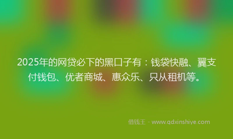 2025年的网贷必下的黑口子有：钱袋快融、翼支付钱包、优者商城、惠众乐、只从租机等。