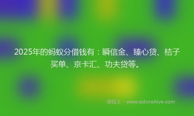 2025年的蚂蚁分借钱有：瞬信金、臻心贷、桔子买单、京卡汇、功夫贷等。