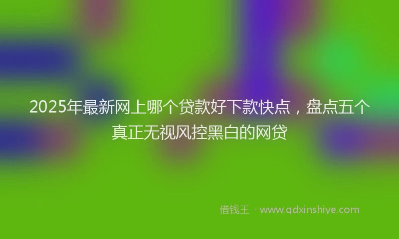 2025年最新网上哪个贷款好下款快点，盘点五个真正无视风控黑白的网贷