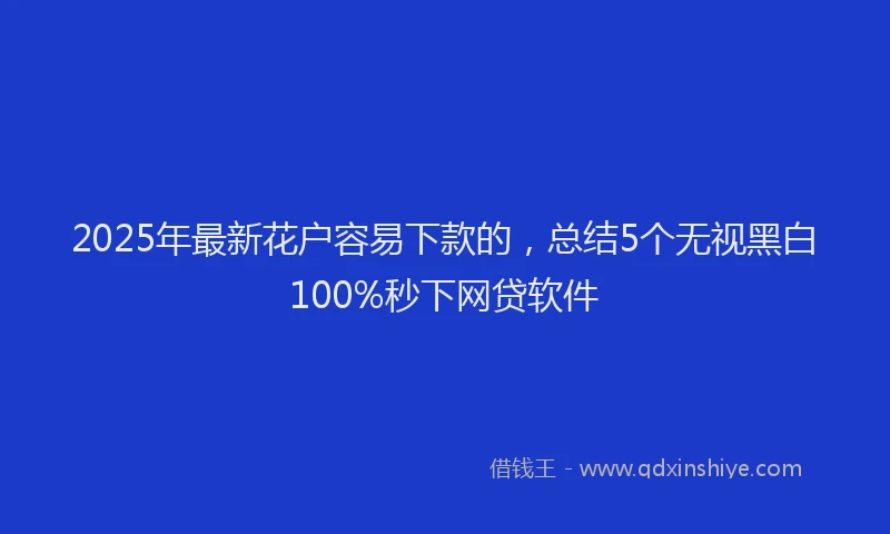 2025年最新花户容易下款的，总结5个无视黑白100%秒下网贷软件