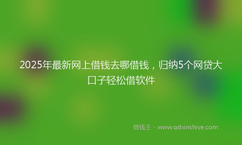 2025年最新网上借钱去哪借钱，归纳5个网贷大口子轻松借软件