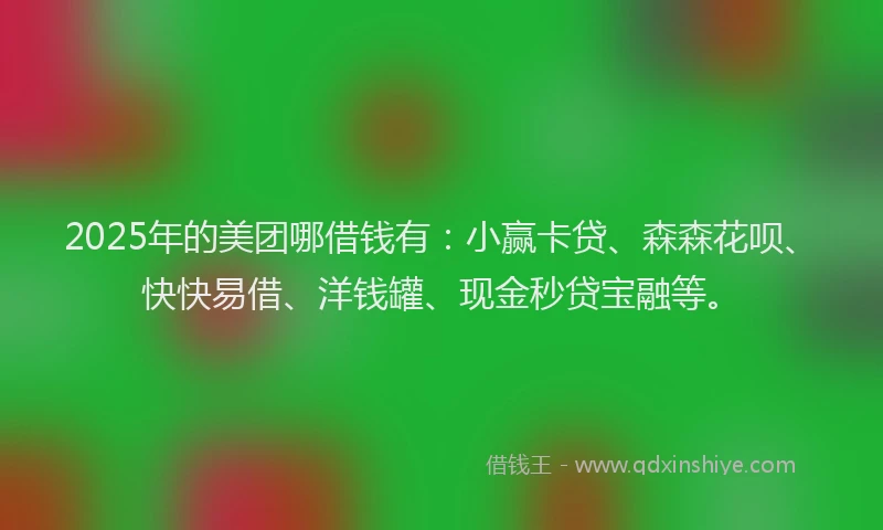 2025年的美团哪借钱有：小赢卡贷、森森花呗、快快易借、洋钱罐、现金秒贷宝融等。