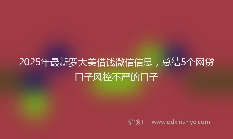 2025年最新罗大美借钱微信信息，总结5个网贷口子风控不严的口子