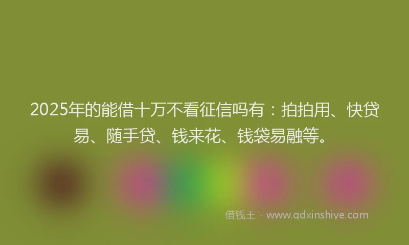 2025年的能借十万不看征信吗有：拍拍用、快贷易、随手贷、钱来花、钱袋易融等。
