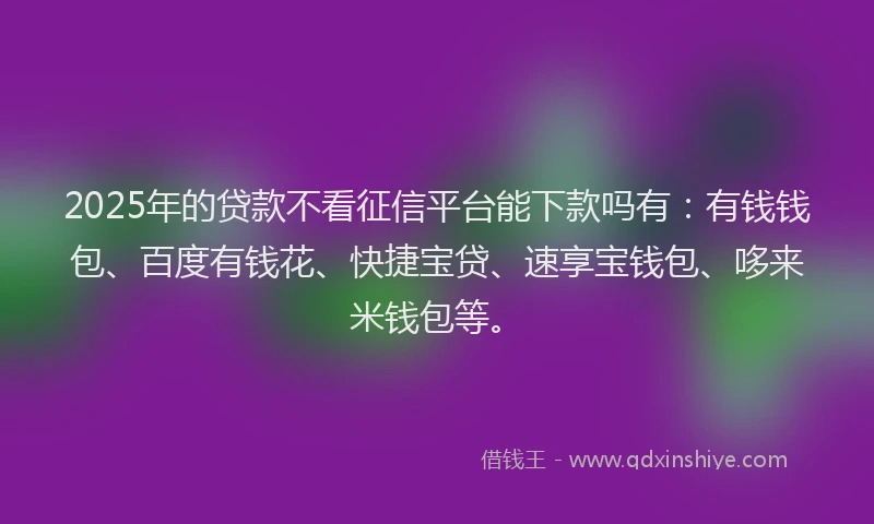 2025年的贷款不看征信平台能下款吗有：有钱钱包、百度有钱花、快捷宝贷、速享宝钱包、哆来米钱包等。