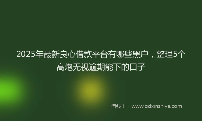 2025年最新良心借款平台有哪些黑户，整理5个高炮无视逾期能下的口子