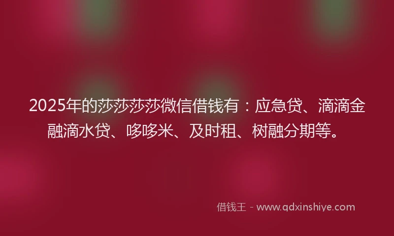 2025年的莎莎莎莎微信借钱有：应急贷、滴滴金融滴水贷、哆哆米、及时租、树融分期等。