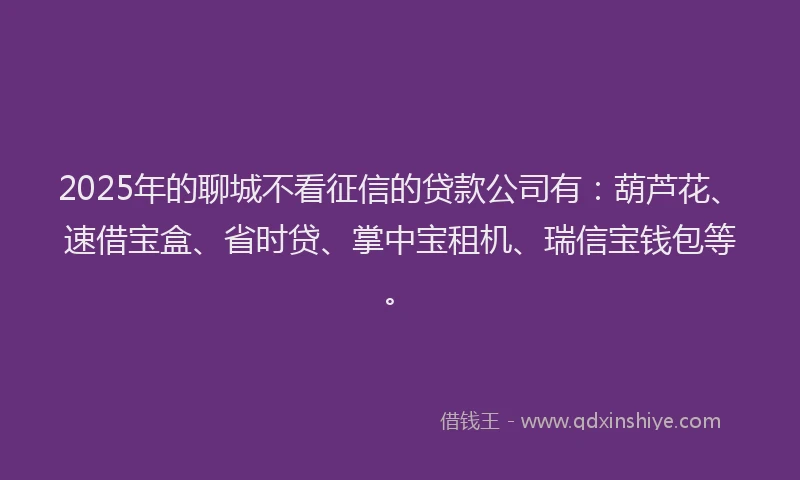 2025年的聊城不看征信的贷款公司有：葫芦花、速借宝盒、省时贷、掌中宝租机、瑞信宝钱包等。