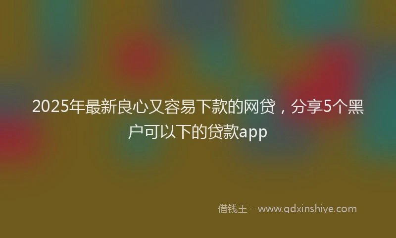 2025年最新良心又容易下款的网贷，分享5个黑户可以下的贷款app