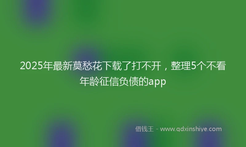 2025年最新莫愁花下载了打不开，整理5个不看年龄征信负债的app