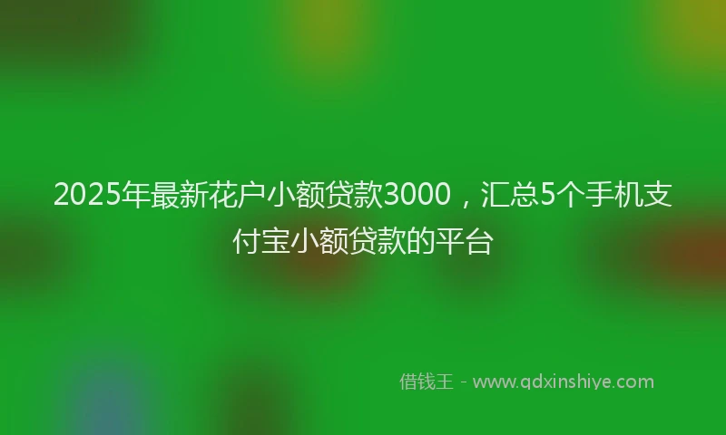 2025年最新花户小额贷款3000，汇总5个手机支付宝小额贷款的平台