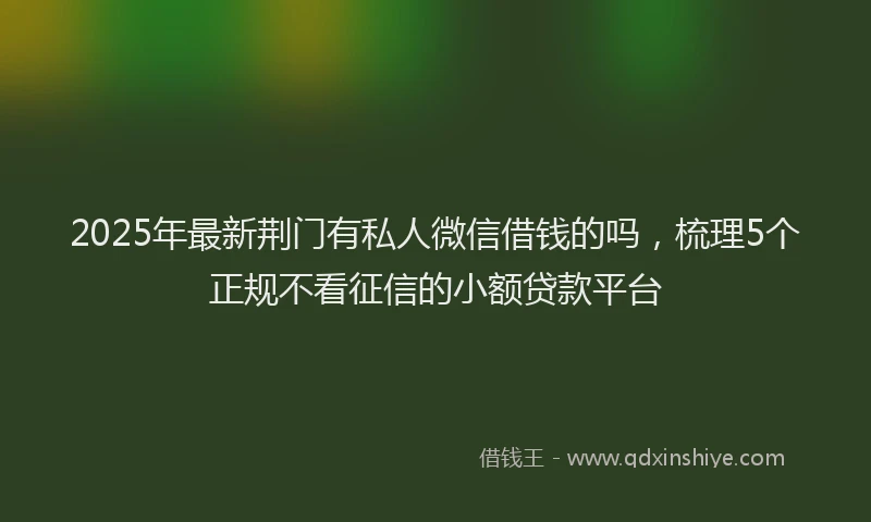 2025年最新荆门有私人微信借钱的吗，梳理5个正规不看征信的小额贷款平台