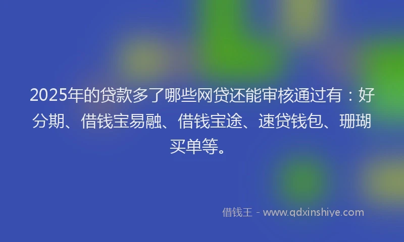 2025年的贷款多了哪些网贷还能审核通过有：好分期、借钱宝易融、借钱宝途、速贷钱包、珊瑚买单等。