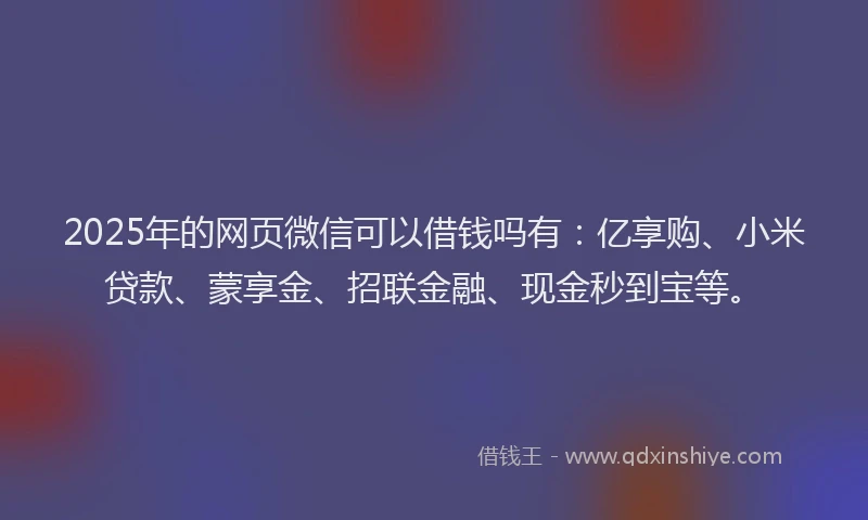 2025年的网页微信可以借钱吗有：亿享购、小米贷款、蒙享金、招联金融、现金秒到宝等。