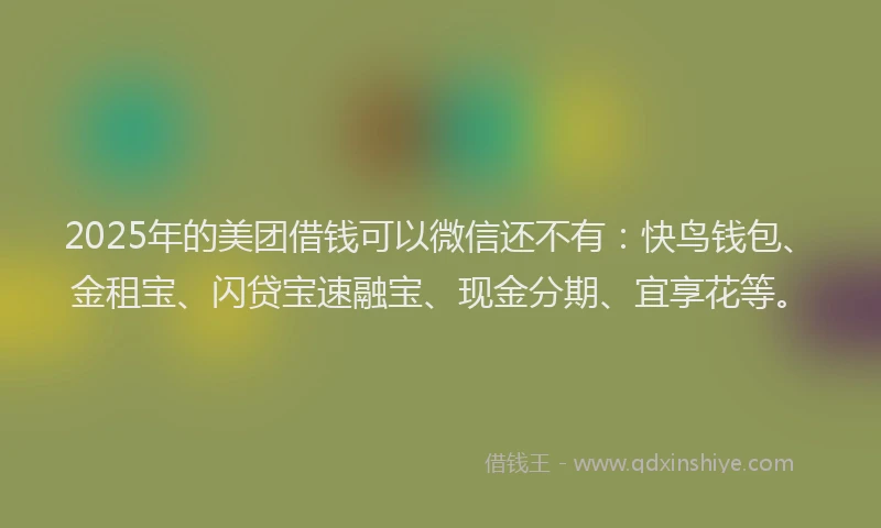 2025年的美团借钱可以微信还不有：快鸟钱包、金租宝、闪贷宝速融宝、现金分期、宜享花等。