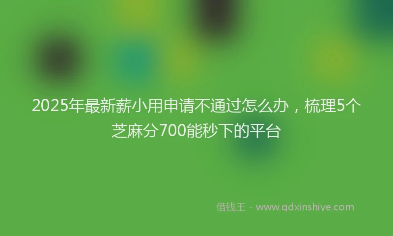 2025年最新薪小用申请不通过怎么办，梳理5个芝麻分700能秒下的平台