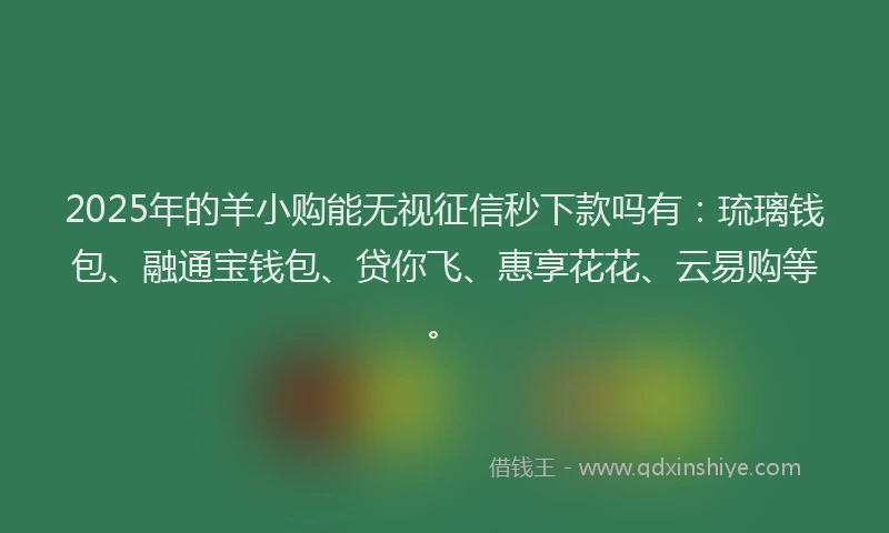 2025年的羊小购能无视征信秒下款吗有：琉璃钱包、融通宝钱包、贷你飞、惠享花花、云易购等。