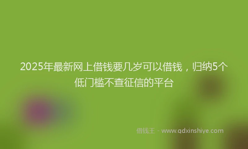2025年最新网上借钱要几岁可以借钱，归纳5个低门槛不查征信的平台
