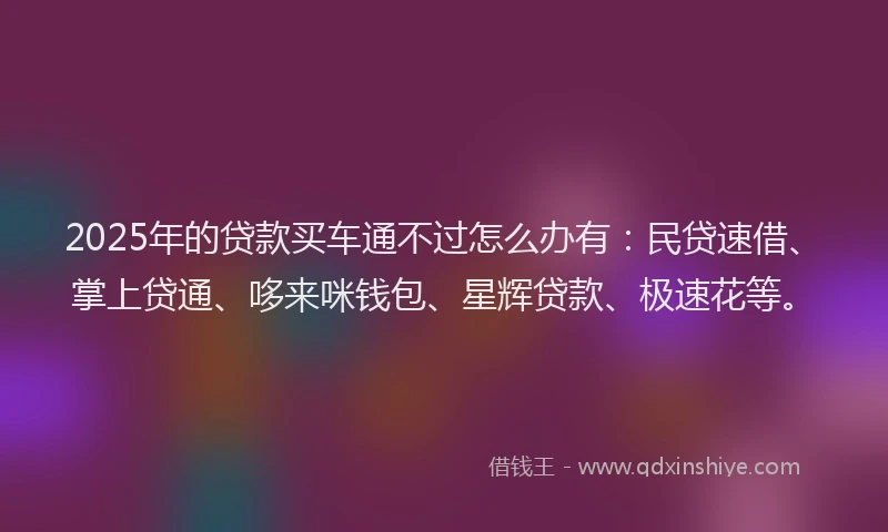 2025年的贷款买车通不过怎么办有：民贷速借、掌上贷通、哆来咪钱包、星辉贷款、极速花等。