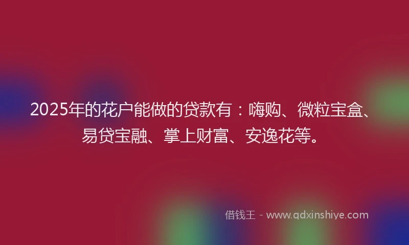 2025年的花户能做的贷款有：嗨购、微粒宝盒、易贷宝融、掌上财富、安逸花等。