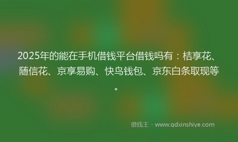 2025年的能在手机借钱平台借钱吗有：桔享花、随信花、京享易购、快鸟钱包、京东白条取现等。