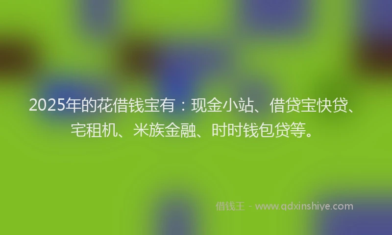 2025年的花借钱宝有：现金小站、借贷宝快贷、宅租机、米族金融、时时钱包贷等。