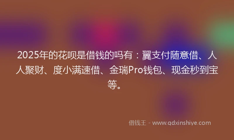 2025年的花呗是借钱的吗有：翼支付随意借、人人聚财、度小满速借、金瑞Pro钱包、现金秒到宝等。
