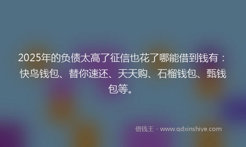 2025年的负债太高了征信也花了哪能借到钱有：快鸟钱包、替你速还、天天购、石榴钱包、甄钱包等。