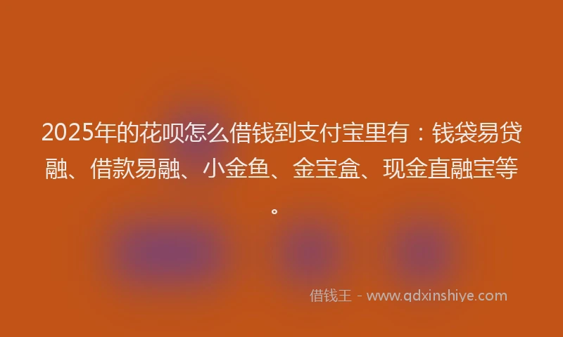 2025年的花呗怎么借钱到支付宝里有：钱袋易贷融、借款易融、小金鱼、金宝盒、现金直融宝等。