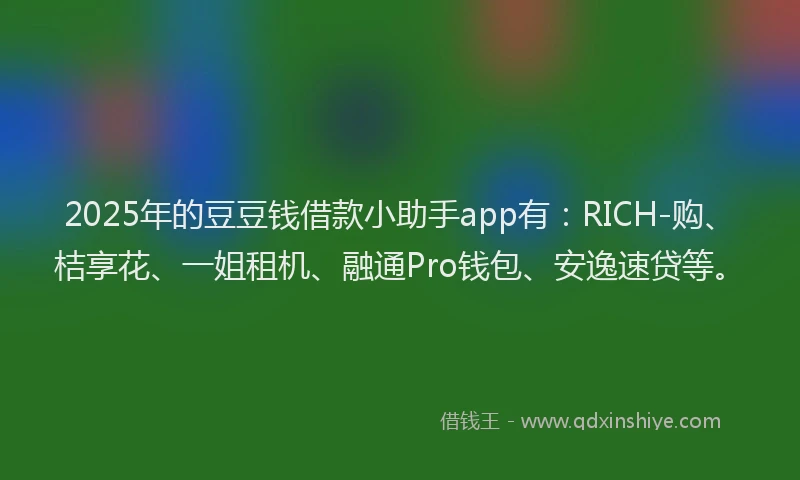 2025年的豆豆钱借款小助手app有：RICH-购、桔享花、一姐租机、融通Pro钱包、安逸速贷等。