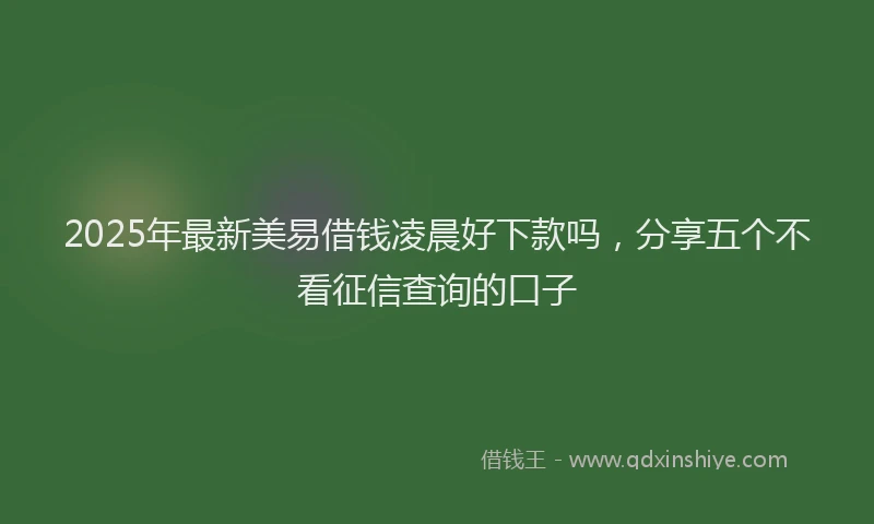 2025年最新美易借钱凌晨好下款吗，分享五个不看征信查询的口子