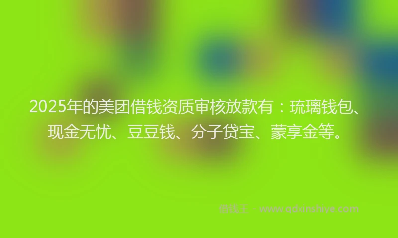 2025年的美团借钱资质审核放款有：琉璃钱包、现金无忧、豆豆钱、分子贷宝、蒙享金等。