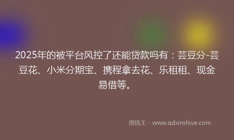 2025年的被平台风控了还能贷款吗有：芸豆分-芸豆花、小米分期宝、携程拿去花、乐租租、现金易借等。